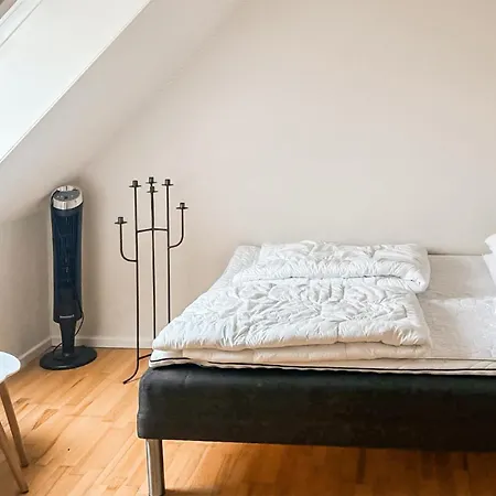 Apartament Pet Friendly In With Wifi